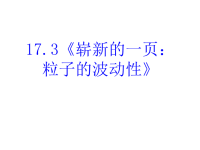 高中物理新课标版人教版选修3-5课件：17《崭新的一页： 粒子的波动性》