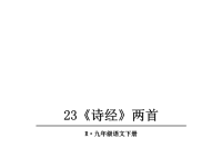 人教部编版九年级下册语文教学课件-23