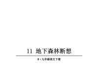 人教部编版九年级下册语文教学课件-11