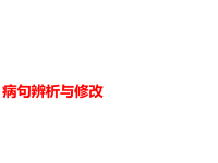 中考语文第一模块基础病句辨析与修改