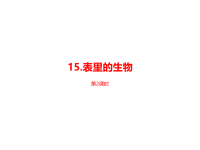 部编人教版语文小学六年级 下册第5单元《表里的生物》课时2