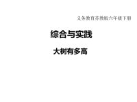 苏教版数学小学六年级下册教学课件-第六单元  正比例和反比例-综合与实践   大树有多高