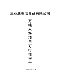 1万吨米粉项目可行性研究报告