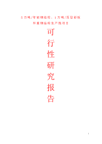 5万吨年轻钢结构、1万吨年压型彩板和重钢结构生产线项目可行性研究报告2