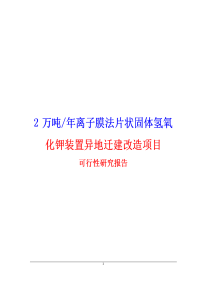 2万吨年离子膜法片状固体氢氧化钾装置异地迁建改造项目可行性研究报告