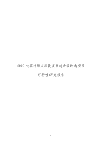 5000吨花样醋灾后恢复重建升级改造项目可行性研究报告