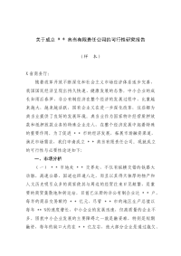 典当有限责任公司成立可行性研究报告