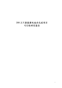 200万只新能源电池内化成项目可行性研究报告