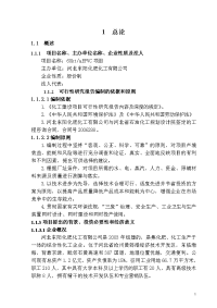 EPVC项目可行性研究报告