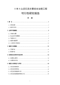 X市X山泥石流灾害综合治理工程可行性研究报告