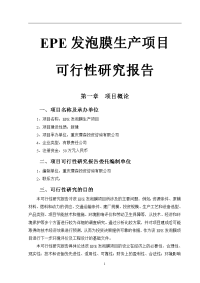 EPE发泡膜生产项目可行性研究报告