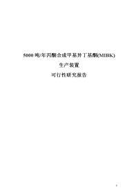 丙酮合成甲基异丁基酮(MIBK)生产装置可行性研究报告