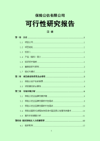 保险公估可行性报告可行性研究报告