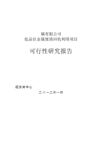 低品位金属废渣回收利用项目可行性研究报告