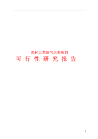 农村大型沼气示范项目可行性研究报告