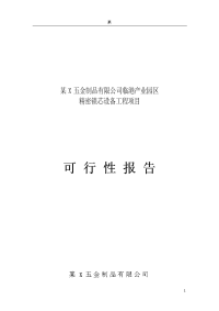 五金制品有限公司临港产业园区精密锁芯设备工程可行性研究报告