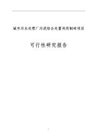 城市污水处理厂污泥综合处置利用制砖项目可行性研究报告