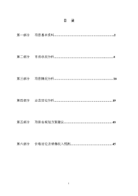 国际商贸城商业中心项目可行性研究报告