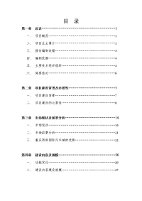 国际汽车城项目可行性研究报告