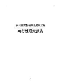 农村蔬菜种植基地建设工程可行性研究报告