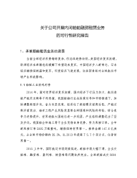 关于开展内河船舶租赁业务的可行性研究报告