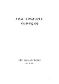 世纪广场项目可行性研究报告