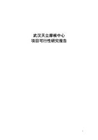 中心商业项目可行性研究报告