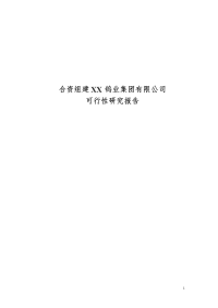 合资组建XX钨业集团有限公司项目可行性研究报告