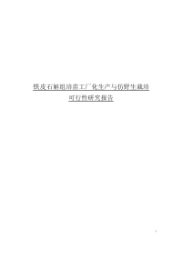 农业科技成果转化项目铁皮石斛组培苗工厂化生产与仿野生栽培可行性研究报告