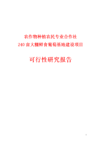 农作物种植农民专业合作社240亩大棚鲜食葡萄基地建设项目可行性研究报告