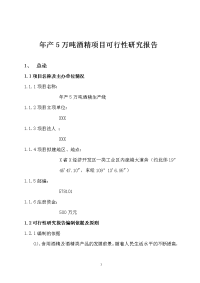 年产5万吨酒精项目可行性研究报告