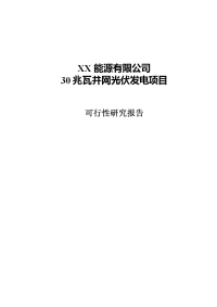 并网光伏发电项目可行性研究报告