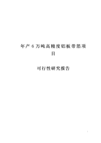 年产6万吨高精度铝板带箔项目可行性研究报告