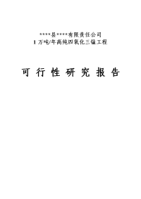 年产1万吨高纯四氧化三锰工程项目可行性研究报告