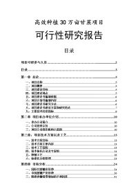 甘蔗种植项目可行性研究报告