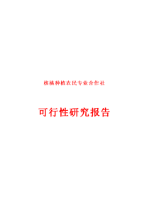 核桃种植农民专业合作社可行性研究报告