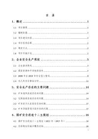 煤矿安全改造国债项目煤炭集团有限责任公司XX煤矿安全改造项目可行性研究报告