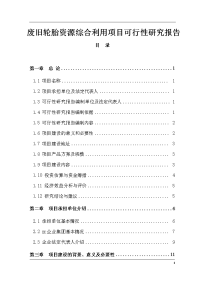 废旧轮胎综合利用可行性研究报告