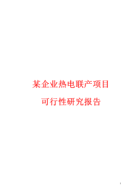 某企业热电联产项目可行性研究报告