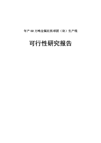 年产60万吨金属化铁球团(块)生产线可行性研究报告