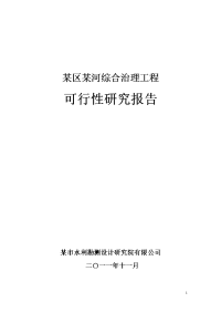 某区某河综合治理工程可行性研究报告