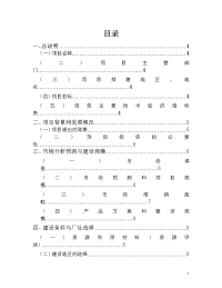 牛仔裤可行性研究报告