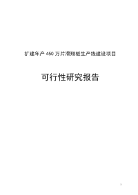 扩建年产450万片滑翔板生产线建设项目可行性研究报告