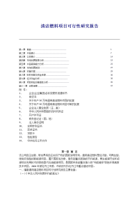 清洁燃料项目可行性研究报告