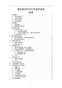 建设路项目可行性研究报告