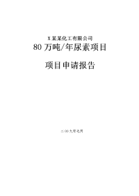 年产46万吨合成氨80万吨尿项目可行性研究报告