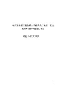 年产紧凑型三基色稀土节能荧光灯毛管1亿支及600万只节能整灯项目可行性研究报告