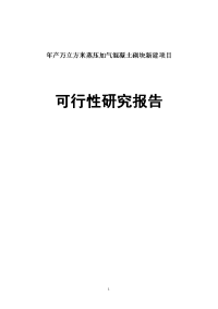 年产XXX0万立方米蒸压加气混凝土砌块新建项目可行性研究报告