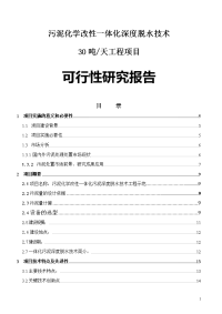 污泥化学改性一体化深度脱水技术可行性研究报告