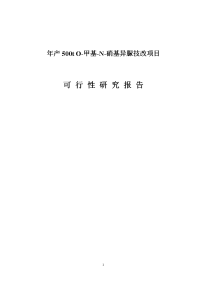 年产500t O-甲基-N-硝基异脲技改项目可行性研究报告